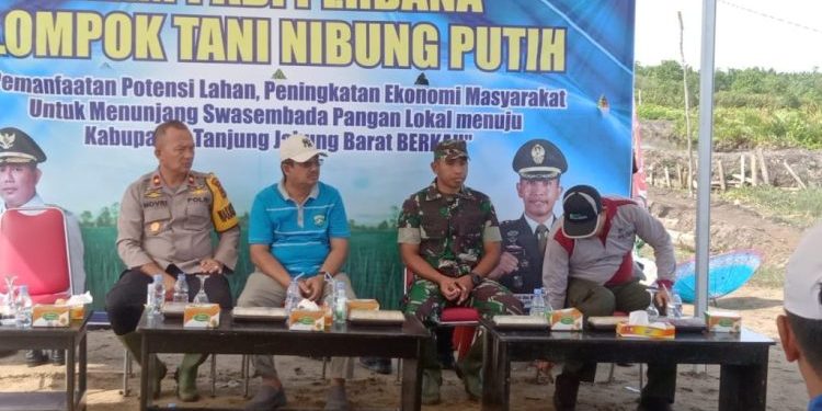 Bupati Tanjab Barat Hadiri Tanam Padi Perdana Sungai Tiram