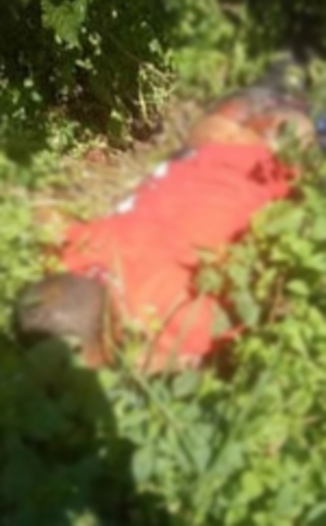 Breaking News! Warga Kayuaro Heboh Penemuan Mayat diperkebunan Teh